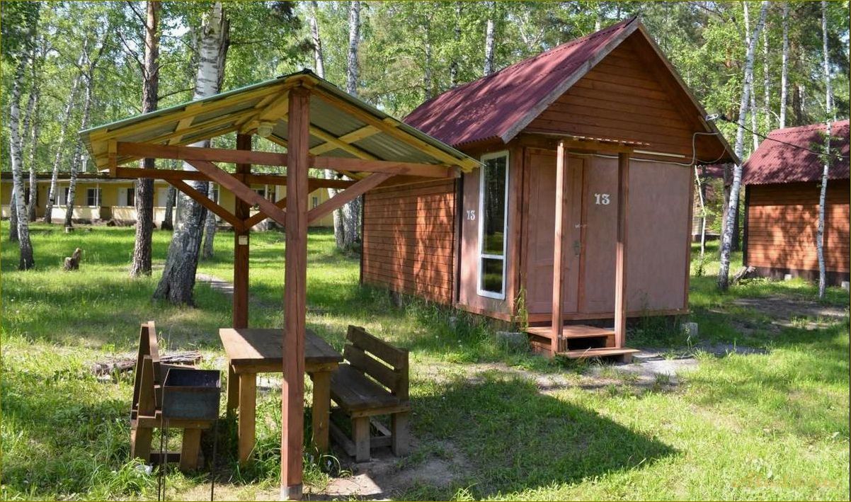 (домик, боровое, база, отдыха, новосибирской) Домик Боровое — база отдыха в Новосибирской области для полноценного отдыха на природе