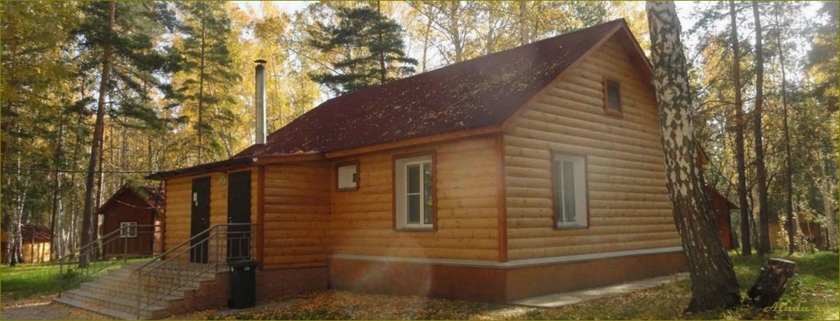 (домик, боровое, база, отдыха, новосибирской) Домик Боровое — база отдыха в Новосибирской области для полноценного отдыха на природе