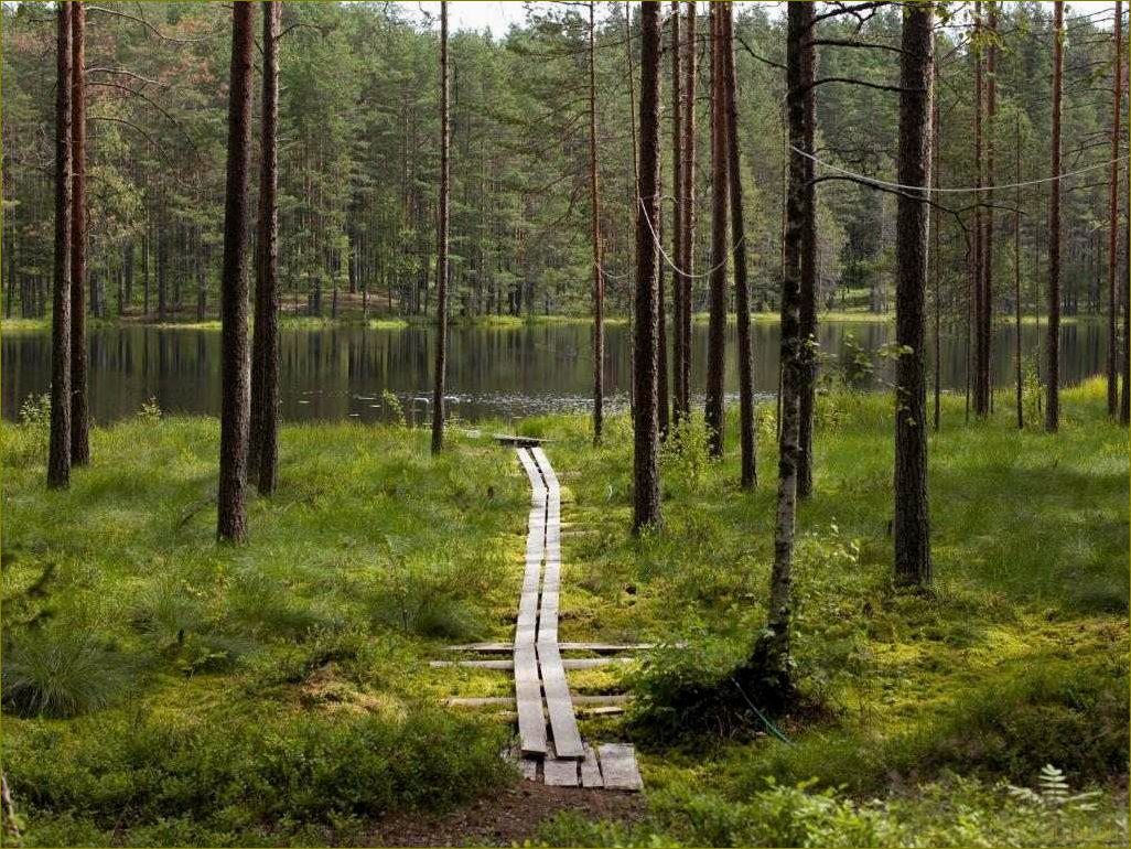 (исследуйте, великолепие, достопримечательностей, ленинградской, области) Исследуйте великолепие достопримечательностей Ленинградской области, откройте для себя удивительные места, наполненные историей и красотой!