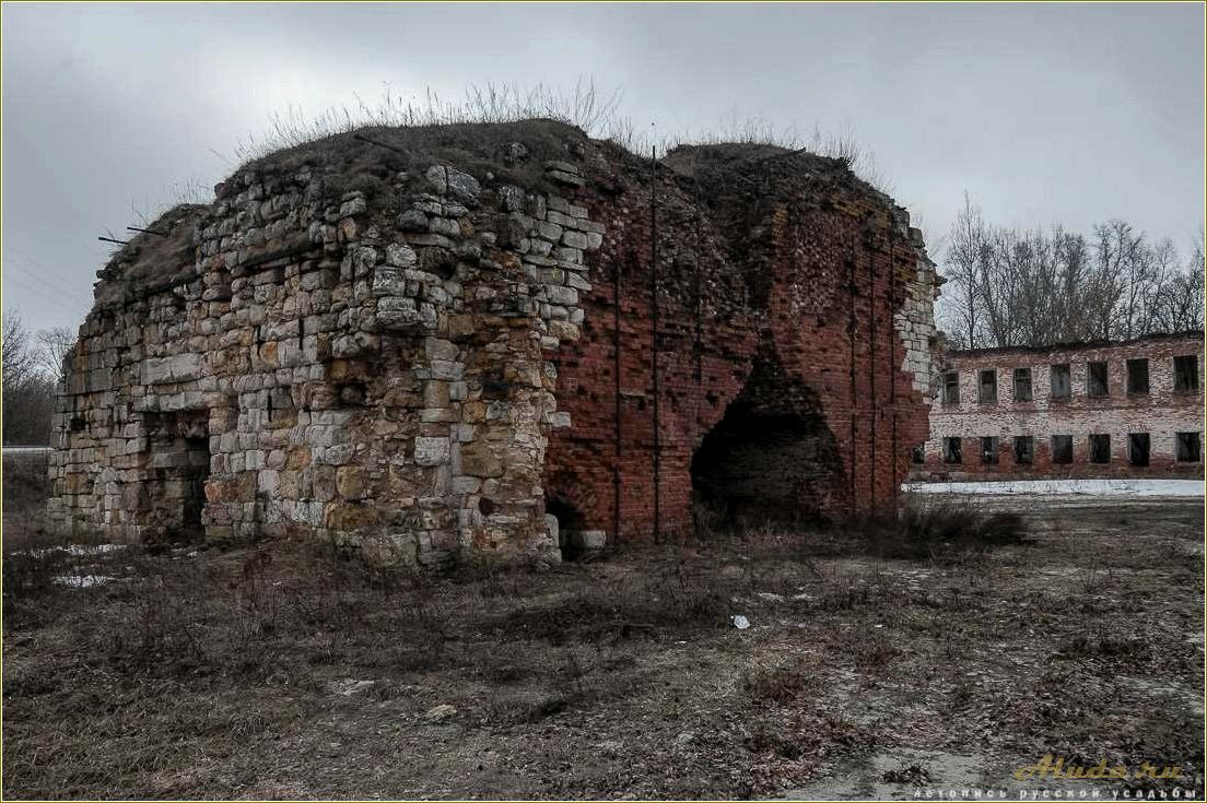 (рязанская, область, откройте, уникальные) Рязанская область — откройте для себя уникальные достопримечательности и богатое наследие