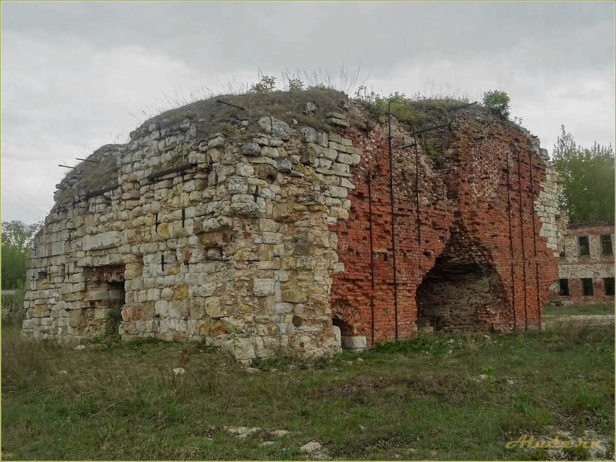 (рязанская, область, откройте, уникальные) Рязанская область — откройте для себя уникальные достопримечательности и богатое наследие