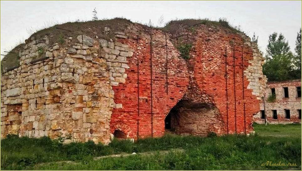 (рязанская, область, откройте, уникальные) Рязанская область — откройте для себя уникальные достопримечательности и богатое наследие