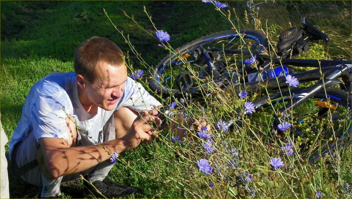 Экологический туризм в Воронежской области — открытие потрясающих природных уголков и привлечение внимания к экологическим проблемам региона