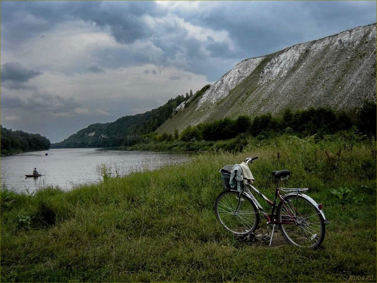 Экологический туризм в Воронежской области — открытие потрясающих природных уголков и привлечение внимания к экологическим проблемам региона