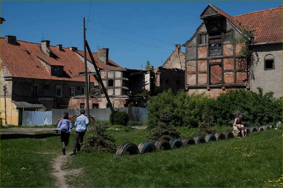 (отдых, деревне, калининградской, области, идеальное) Отдых в деревне Калининградской области — идеальное место для насыщенного и спокойного отдыха в окружении природы