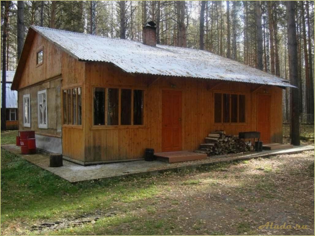 Отдых в Киреевске, Томская область