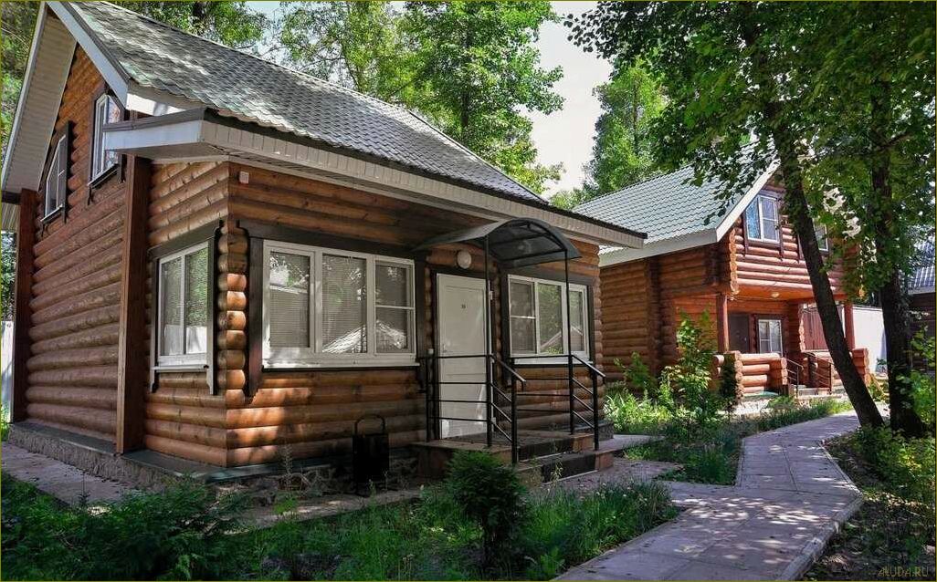 Лучшие курорты и базы отдыха в прекрасной Воронежской области, где можно насладиться красотами природы и полностью расслабиться