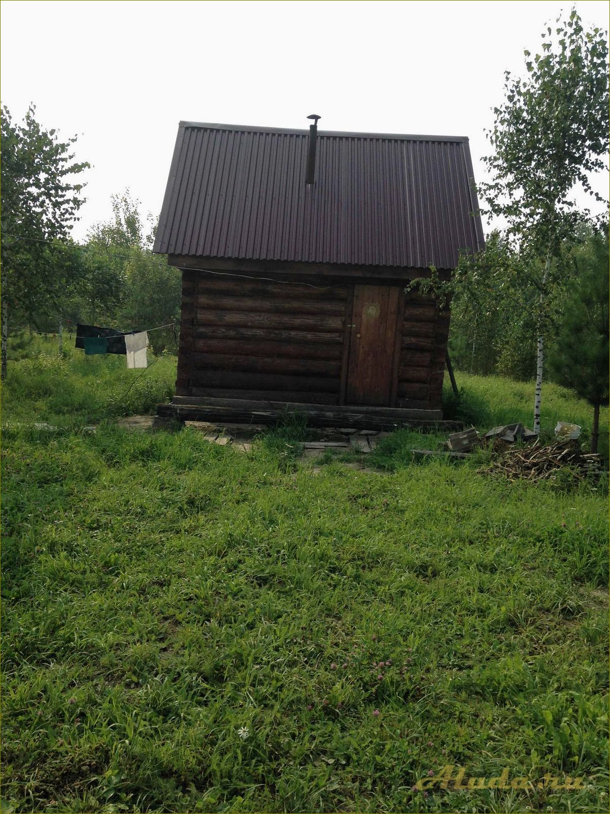 (кругликово, идеальное, место, отдыха, новосибирской) Кругликово — идеальное место для отдыха в Новосибирской области