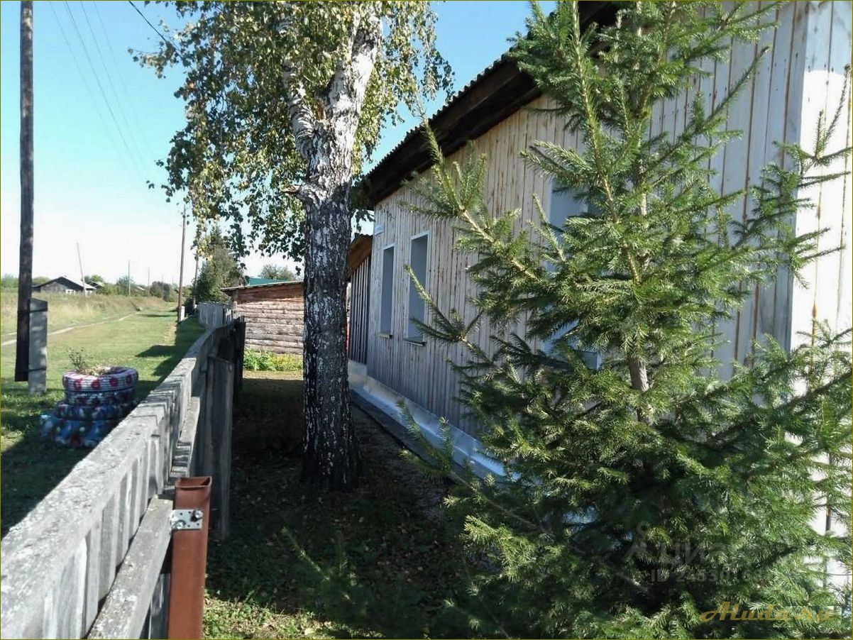 (кругликово, идеальное, место, отдыха, новосибирской) Кругликово — идеальное место для отдыха в Новосибирской области