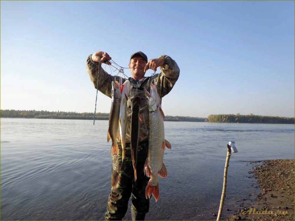 (кругликово, идеальное, место, отдыха, новосибирской) Кругликово — идеальное место для отдыха в Новосибирской области