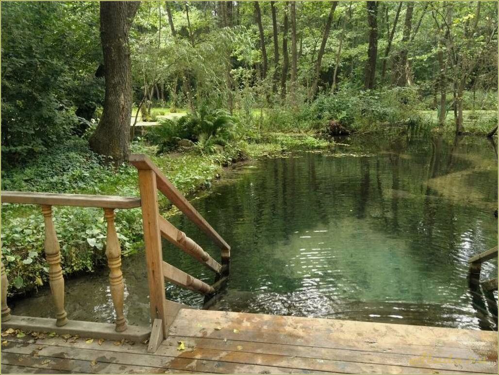 Располагающие к отдыху леса Ростовской области — уединение, природные красоты и возможности для активного отдыха