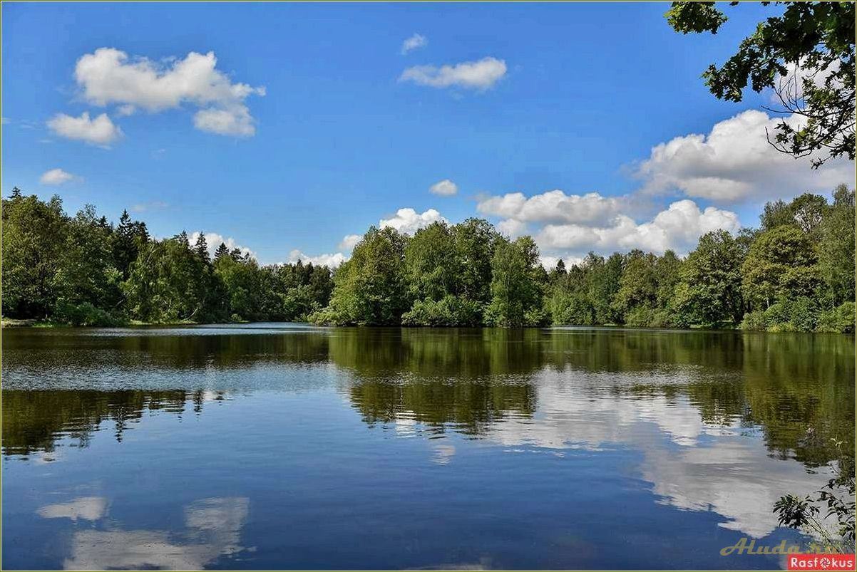 Лесное озеро в Ростовской области — идеальное место для отдыха и релаксации