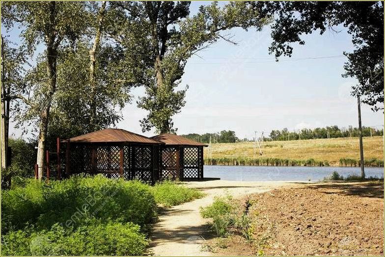 Лесное озеро в Ростовской области — идеальное место для отдыха и релаксации