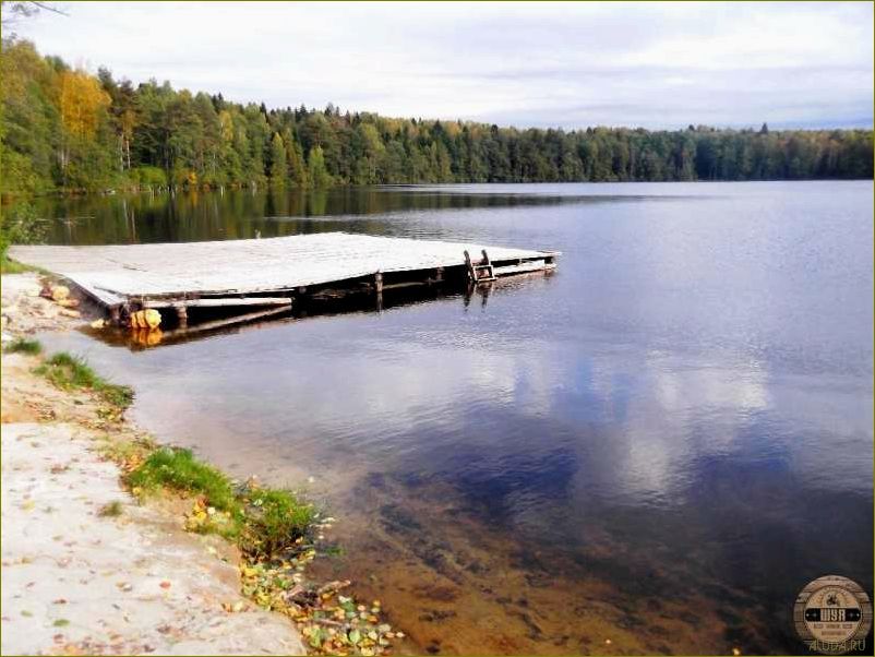 (отдых, лежневском, районе, ивановской, области) Отдых в Лежневском районе Ивановской области — прекрасная возможность насладиться природой и культурными достопримечательностями