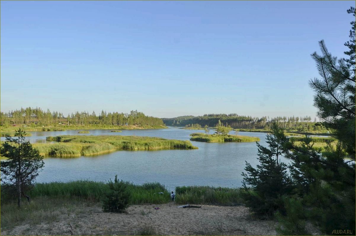 (луховицкий, район, московской, области, идеальное) Луховицкий район Московской области — идеальное место для отдыха и релаксации в окружении природы и культурного наследия