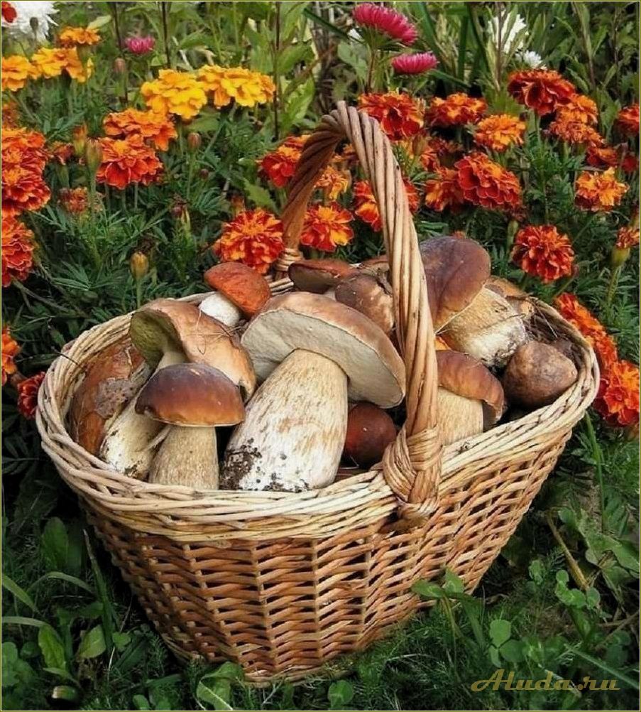 Лукошко — ферма отдыха в Челябинской области