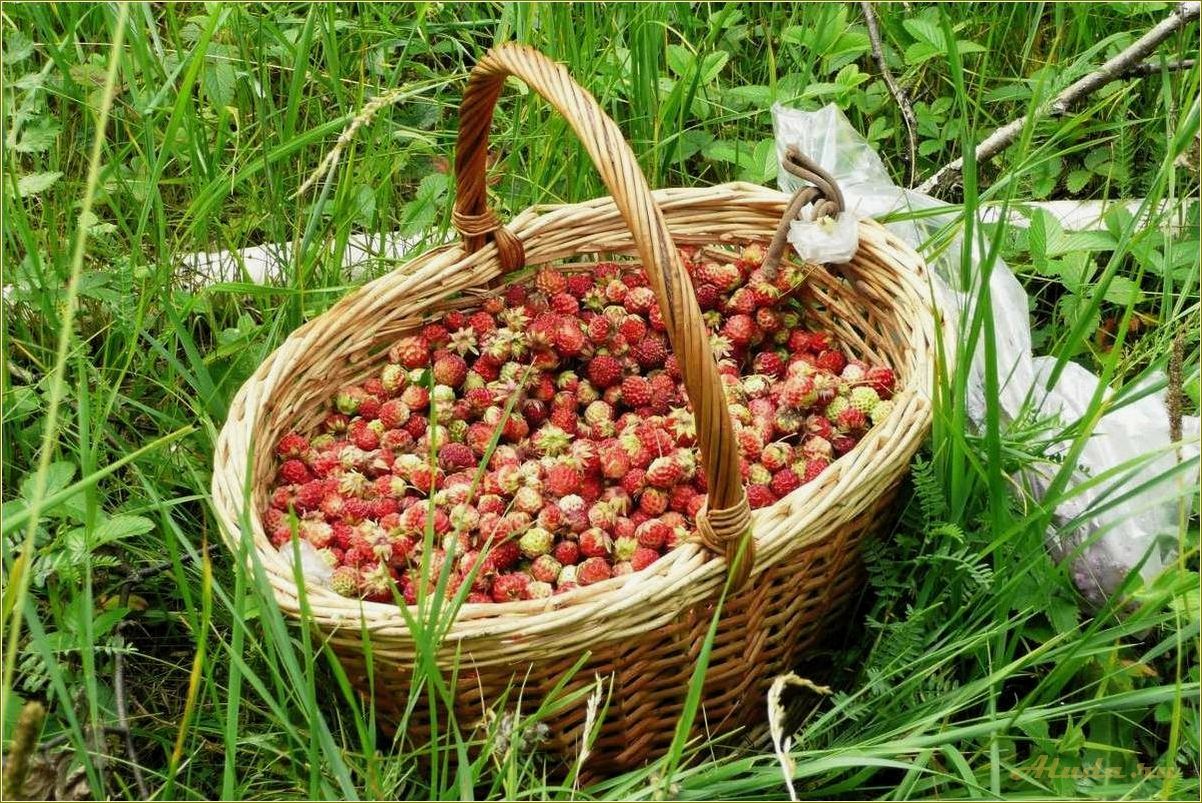 Лукошко — ферма отдыха в Челябинской области