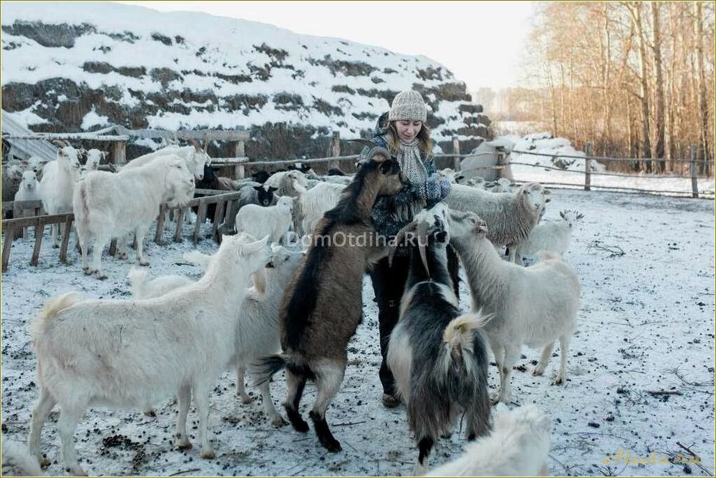 Лукошко — ферма отдыха в Челябинской области