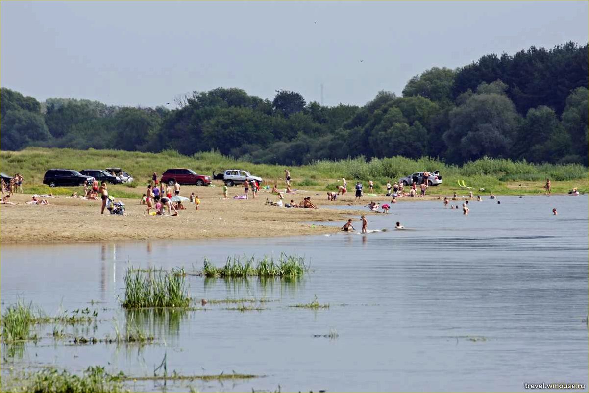 (луховицкий, район, московской, области, идеальное) Луховицкий район Московской области — идеальное место для отдыха и релаксации в окружении природы и культурного наследия