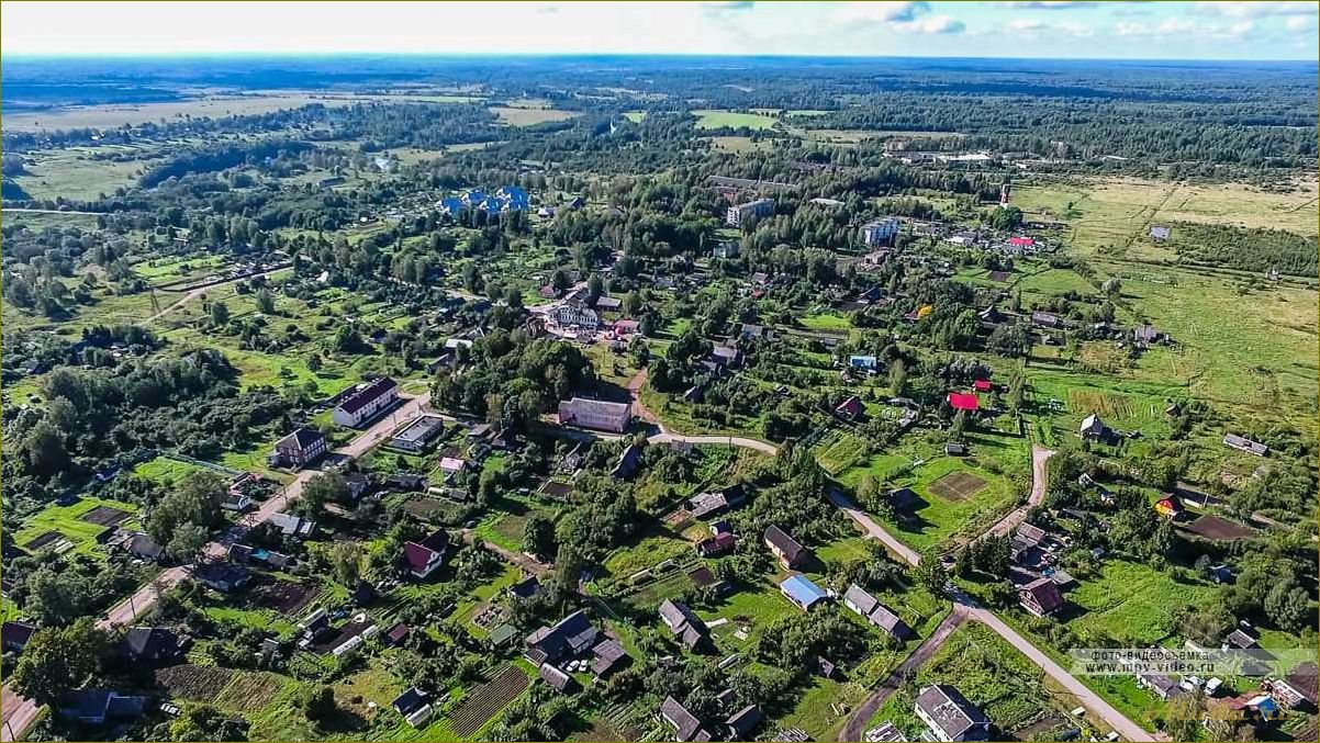 (медведь, новгородской, области, путешествие, достопримечательностям) Медведь в Новгородской области — путешествие по достопримечательностям