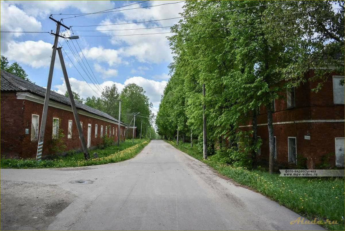 (медведь, новгородской, области, путешествие, достопримечательностям) Медведь в Новгородской области — путешествие по достопримечательностям