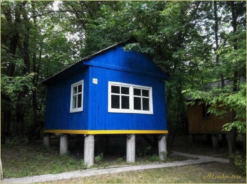 (база, отдыха, мелиоратор, челябинской, области) База отдыха