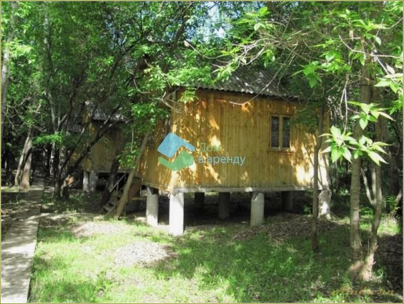 (база, отдыха, мелиоратор, челябинской, области) База отдыха