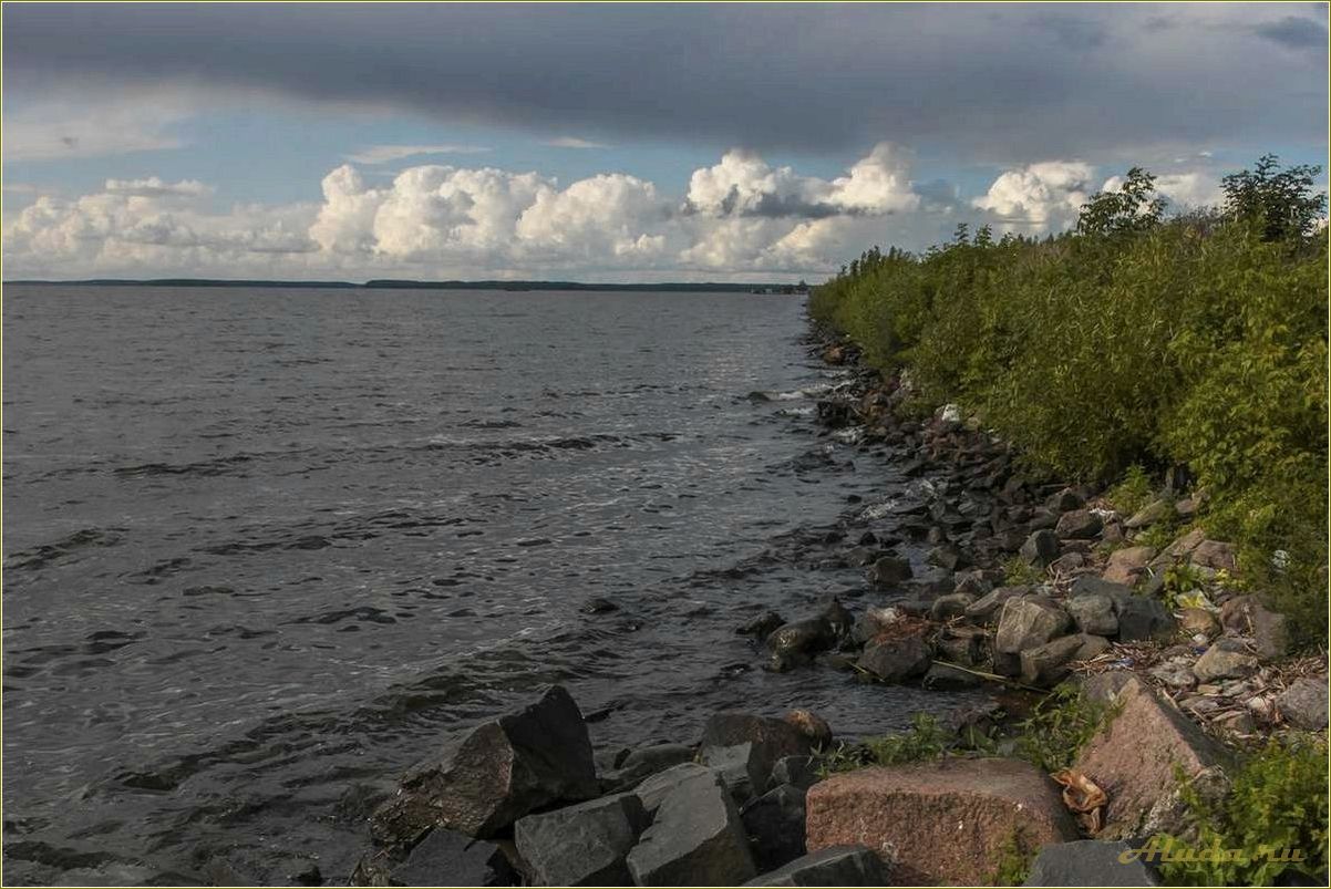 (московское, море, тверская, область, отдых) Московское море Тверская область отдых