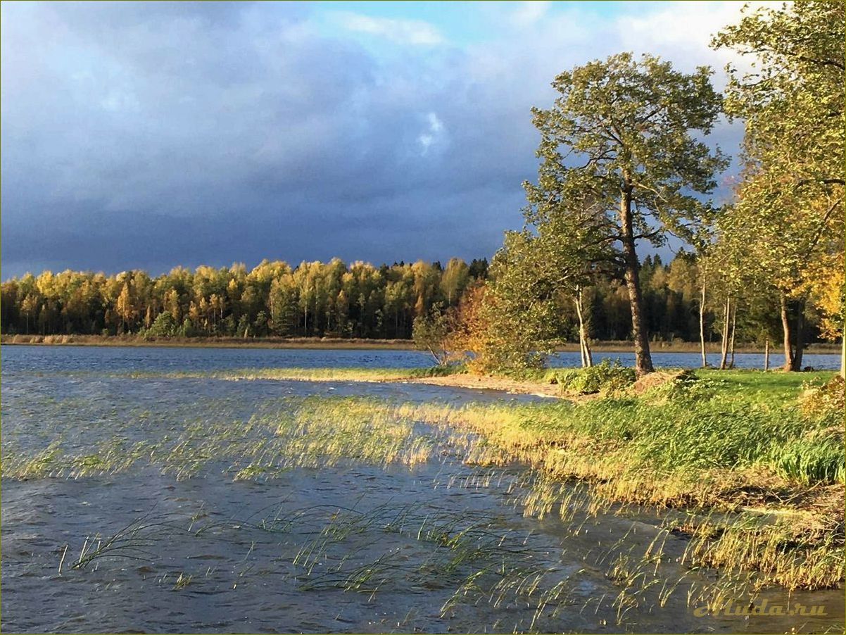 (новгородская, область, уникальные, достопримечательности, природы) Новгородская область — уникальные достопримечательности природы, которые вас поразят своей красотой и разнообразием