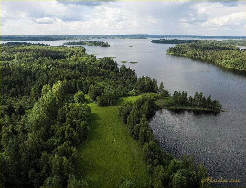 (новгородская, область, уникальные, достопримечательности, природы) Новгородская область — уникальные достопримечательности природы, которые вас поразят своей красотой и разнообразием
