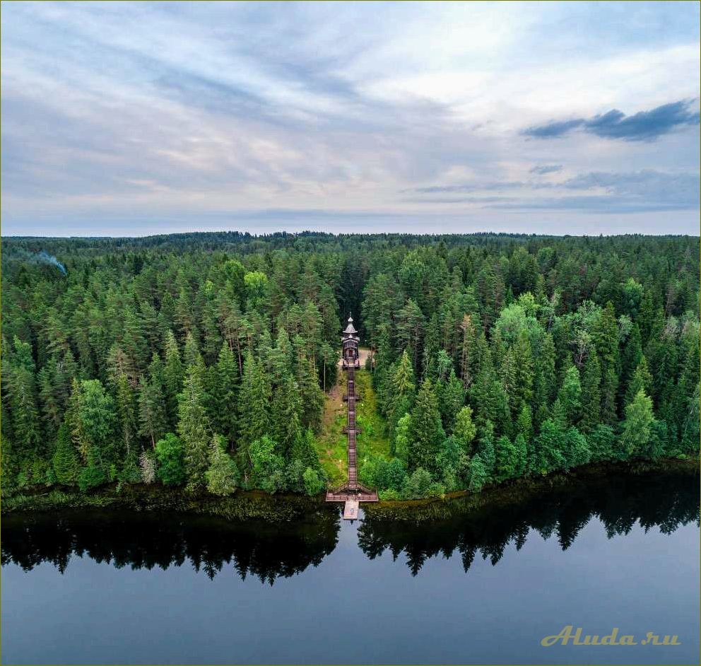 (новгородская, область, уникальные, достопримечательности, природы) Новгородская область — уникальные достопримечательности природы, которые вас поразят своей красотой и разнообразием