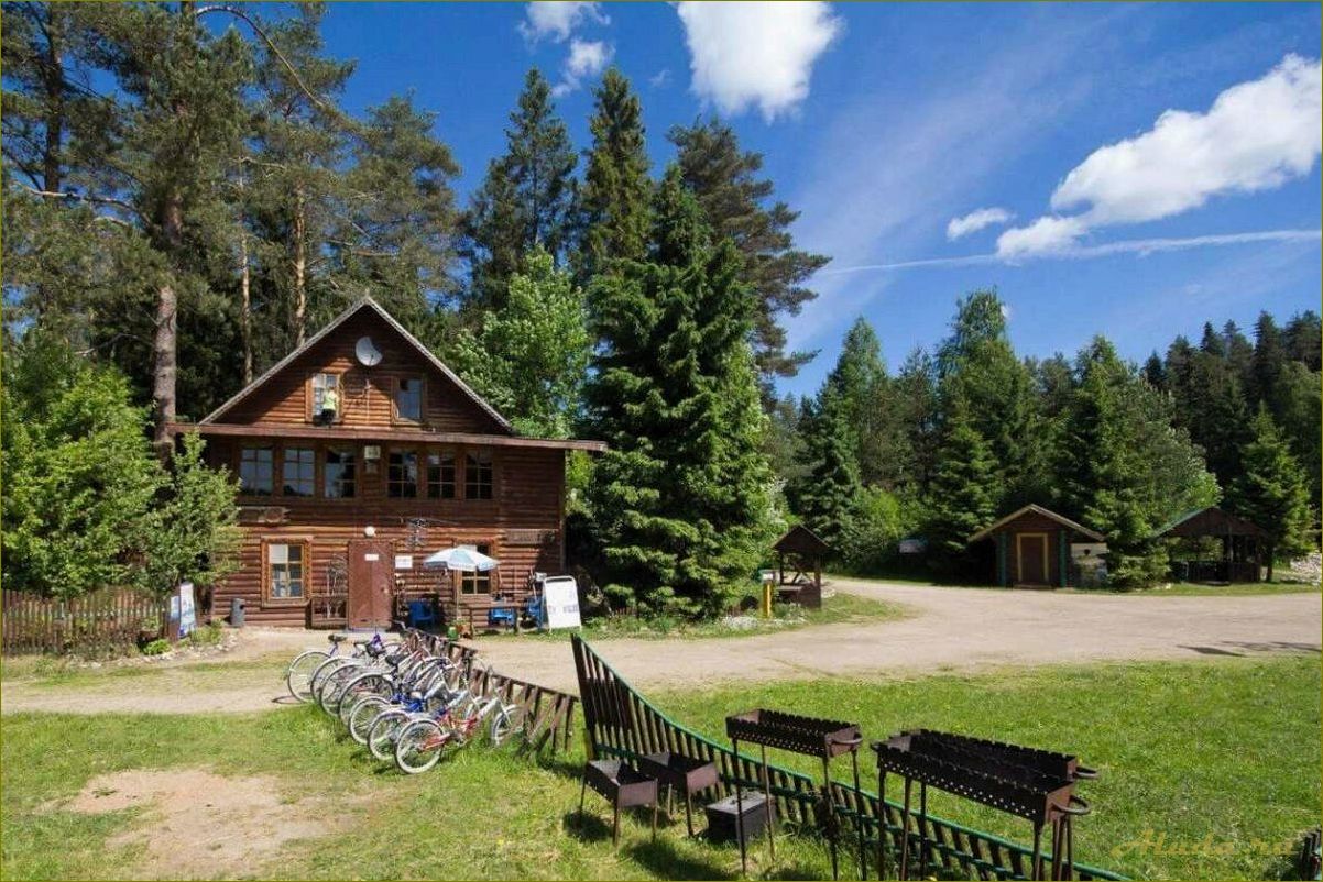 Новгородская область — валдайские базы отдыха для комфортного и разнообразного времяпрепровождения