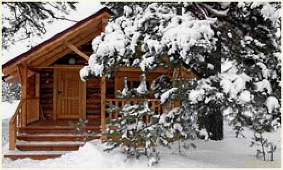 Новый год на базах отдыха в Ярославской области