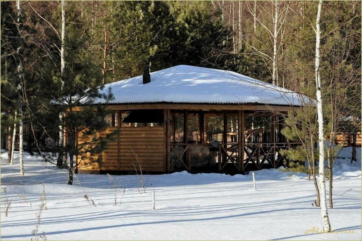 Новый год на базах отдыха в Ярославской области