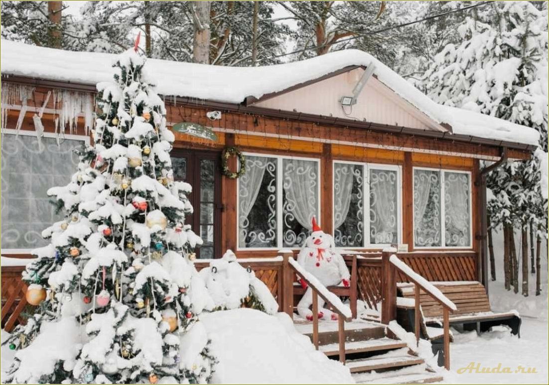 Новый год на базах отдыха в Ярославской области