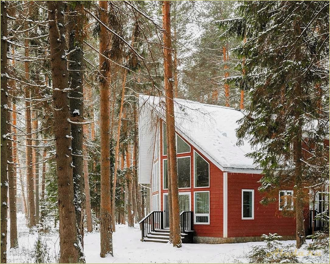 Новый год на базах отдыха в Ярославской области