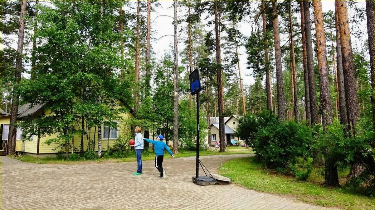 Орехово база отдыха в Ленинградской области — идеальное место для отдыха и развлечений в окружении природы
