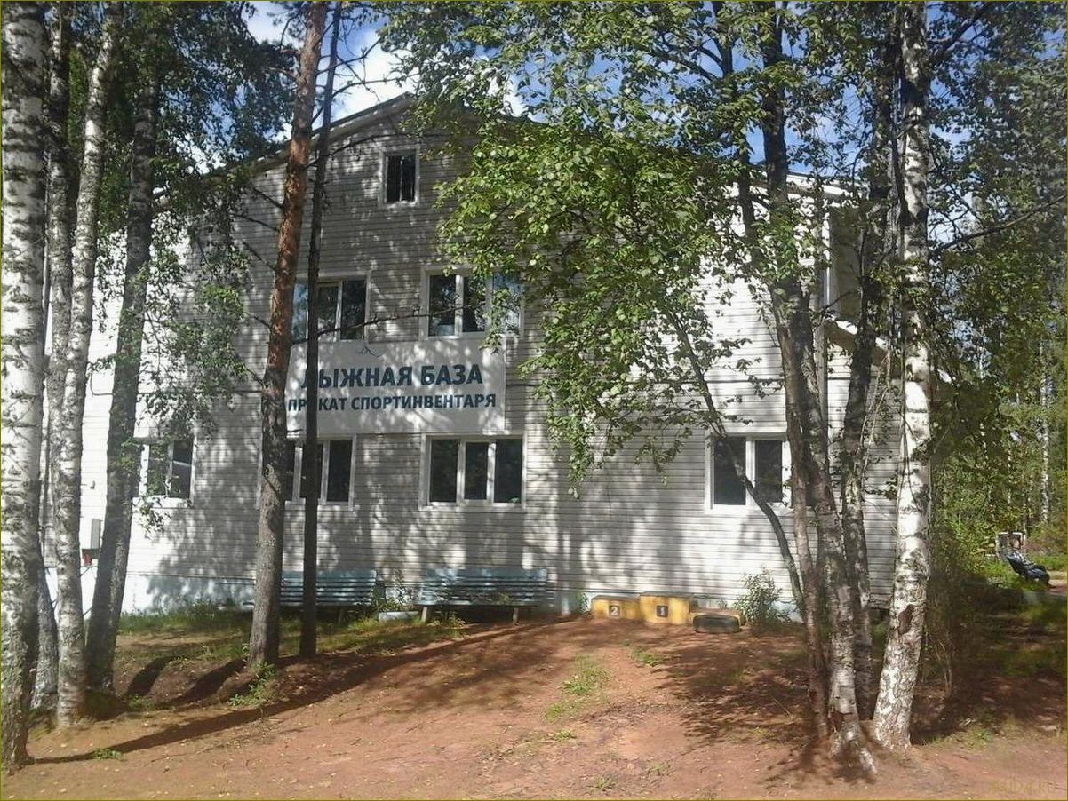 Орехово база отдыха в Ленинградской области — идеальное место для отдыха и развлечений в окружении природы