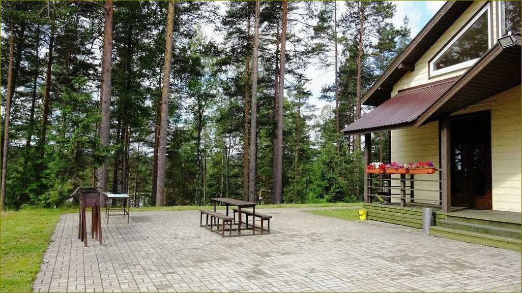 Орехово база отдыха в Ленинградской области — идеальное место для отдыха и развлечений в окружении природы