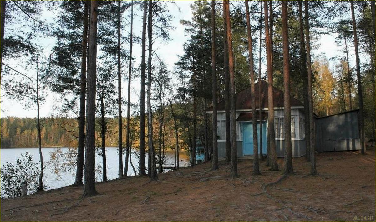 Орехово база отдыха в Ленинградской области — идеальное место для отдыха и развлечений в окружении природы