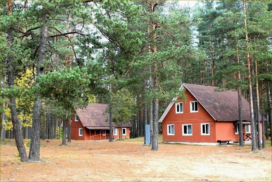 Орехово база отдыха в Ленинградской области — идеальное место для отдыха и развлечений в окружении природы