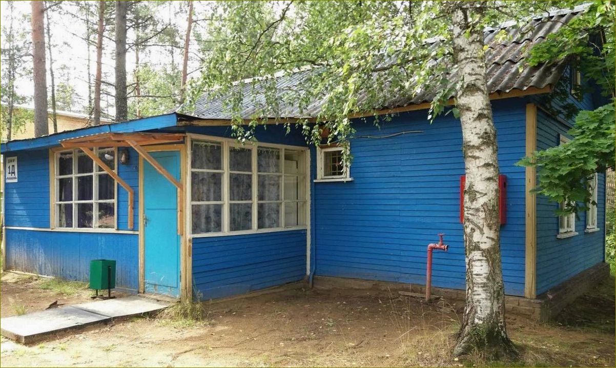 Орехово база отдыха в Ленинградской области — идеальное место для отдыха и развлечений в окружении природы