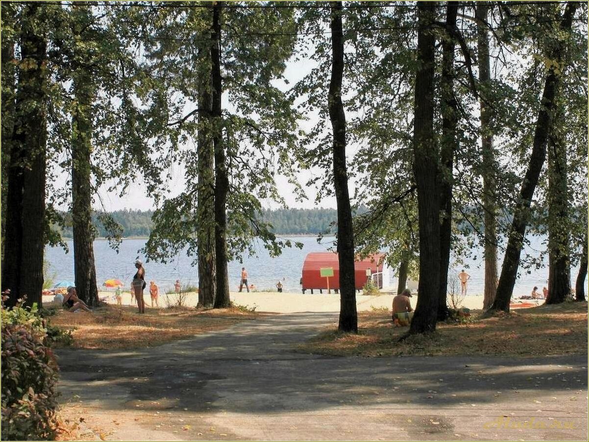 Отдых на Белом озере в Ульяновской области: цены и условия
