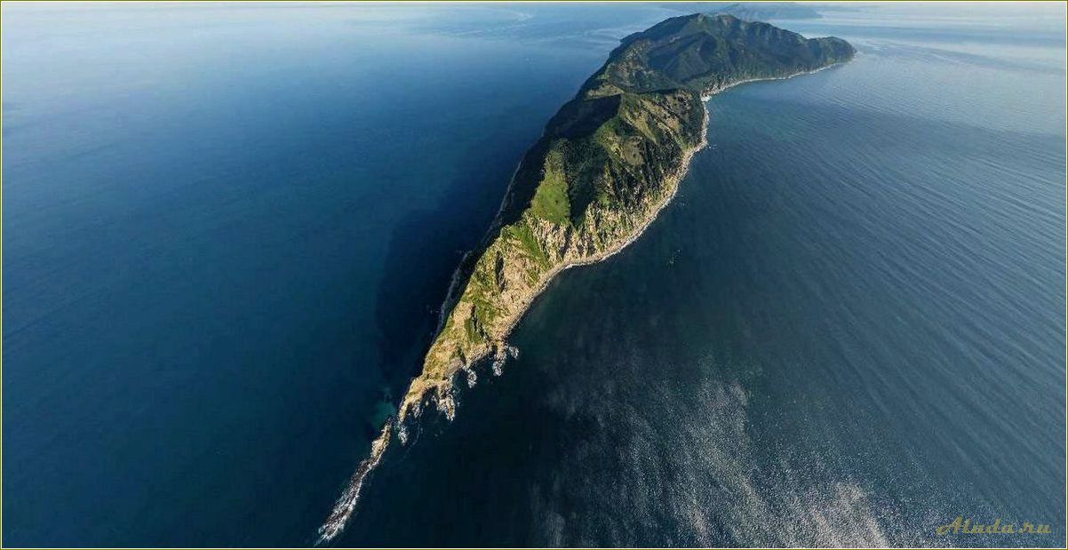 (развлечения, активности, детей, сахалинской, области) Развлечения и активности для детей в Сахалинской области