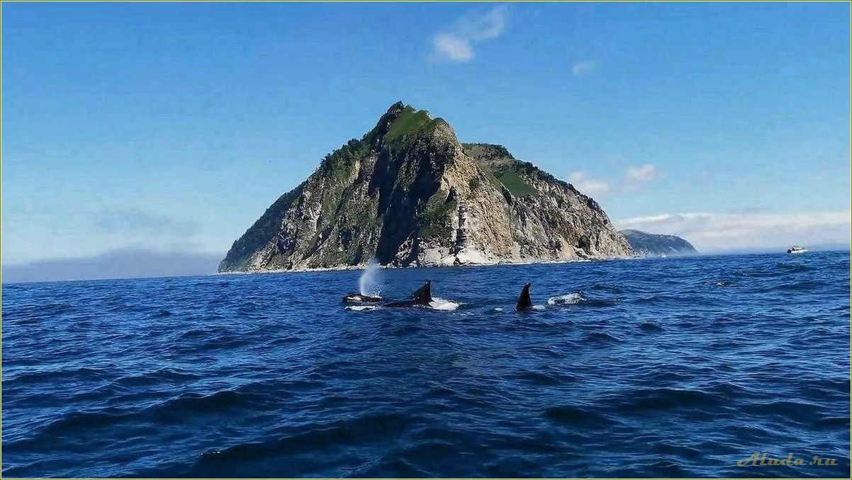 (развлечения, активности, детей, сахалинской, области) Развлечения и активности для детей в Сахалинской области