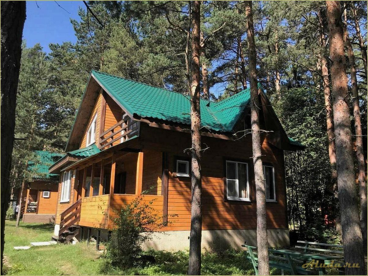 Отдых в Калининском районе Тверской области