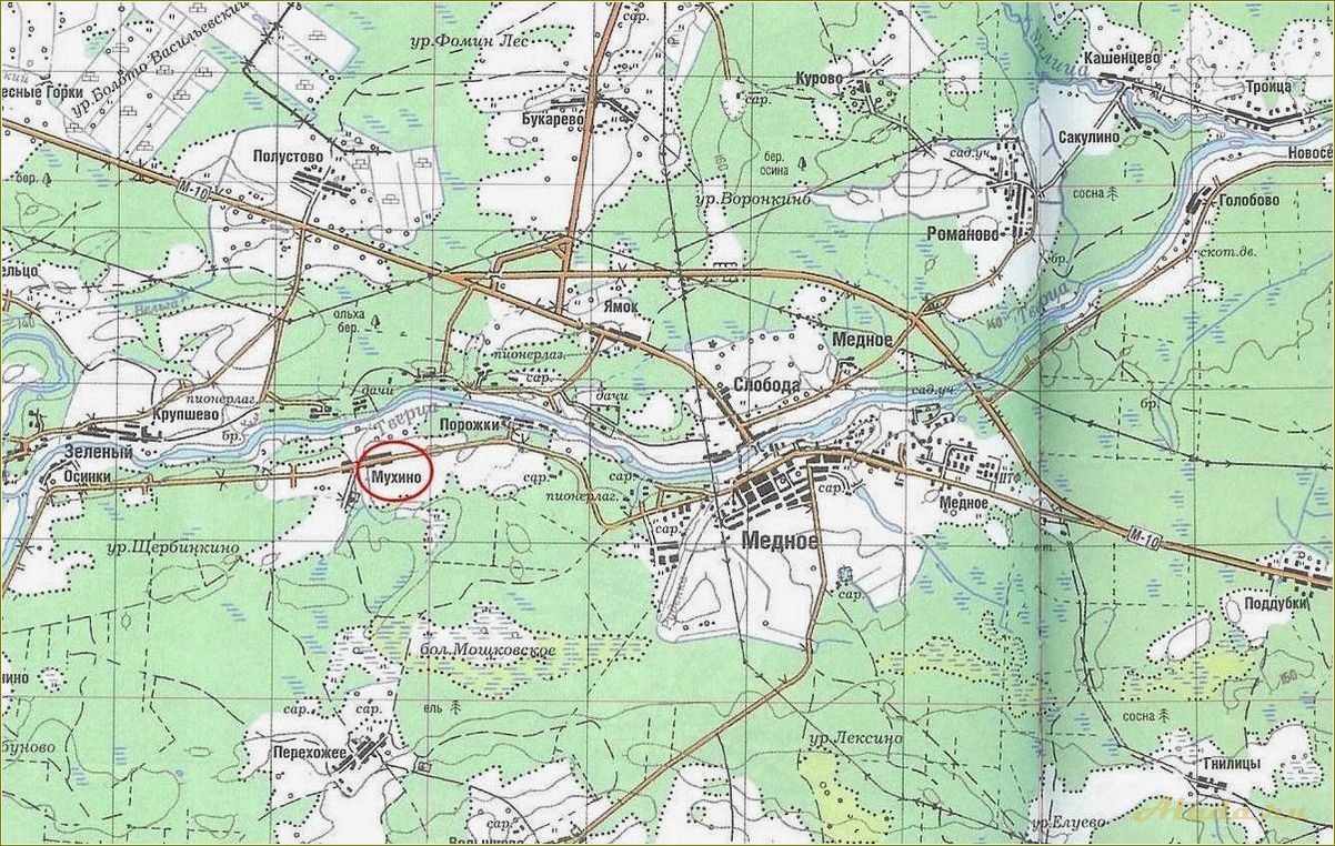 Отдых в Калининском районе Тверской области
