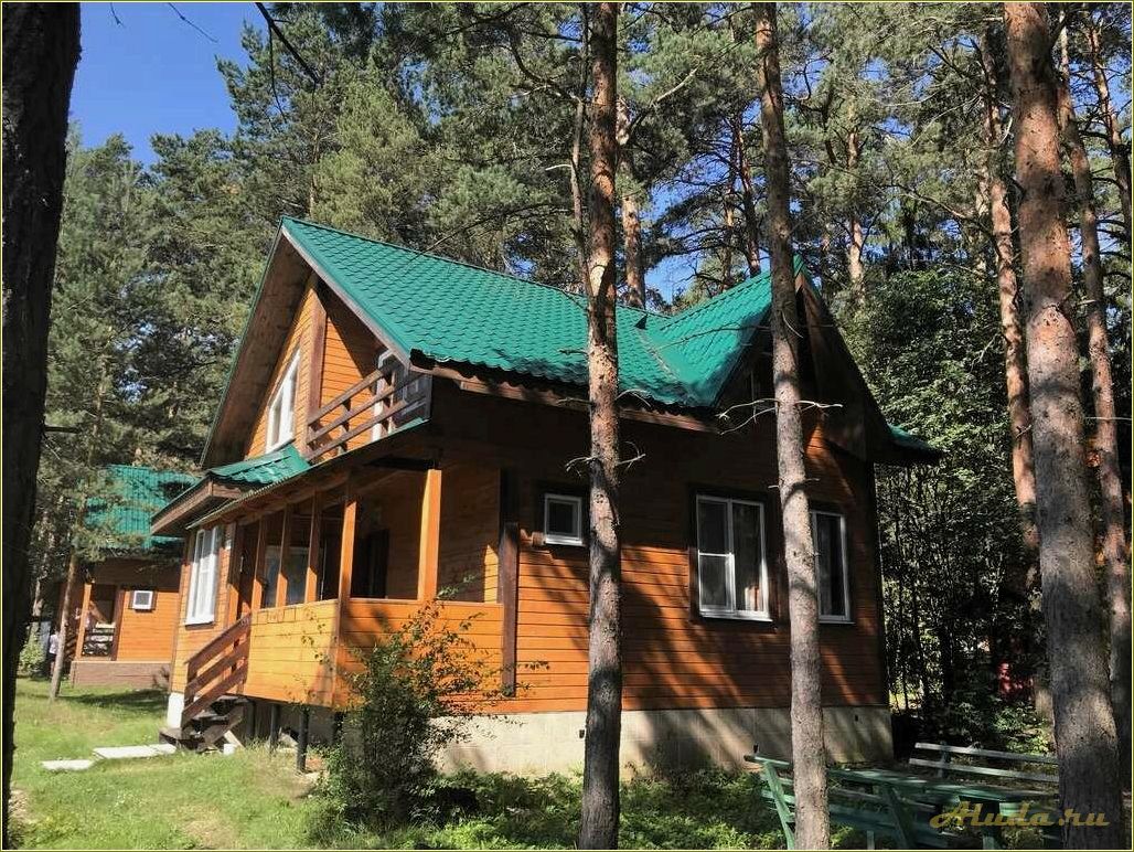 (отдых, базах, отдыха, тверской, области) Отдых на базах отдыха в Тверской области