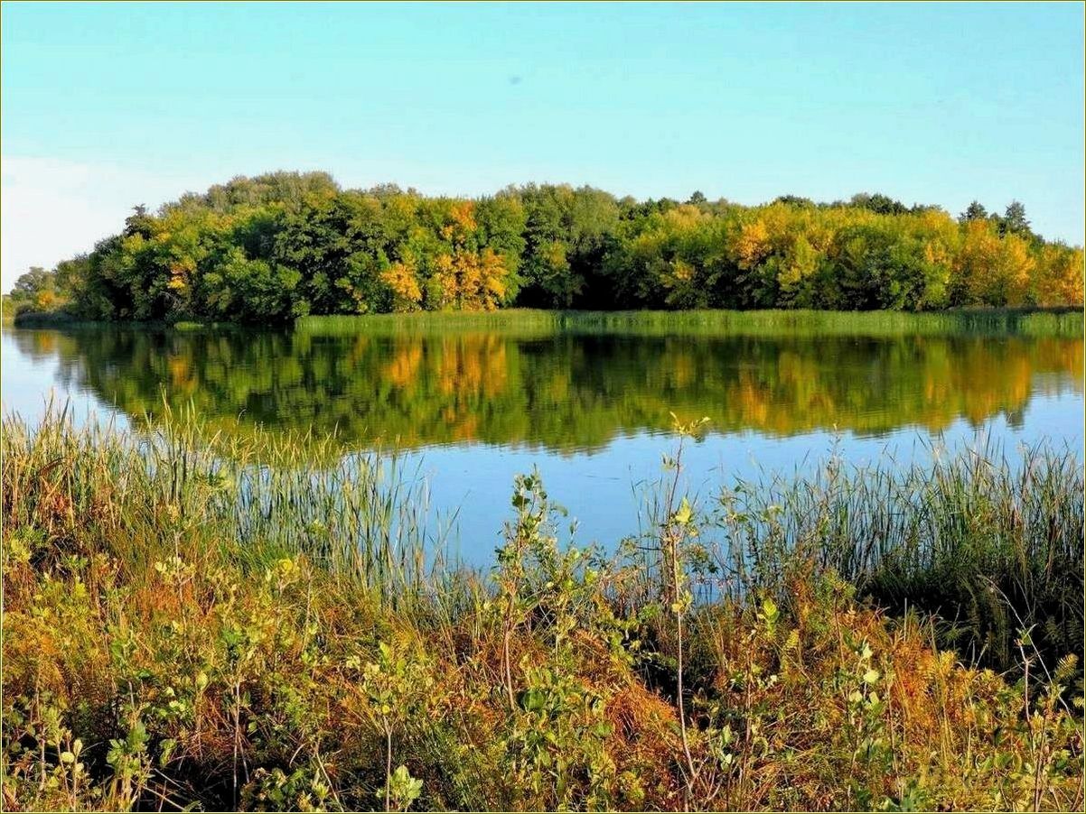 (отдых, природе, тамбовской, области) Отдых на природе Тамбовской области