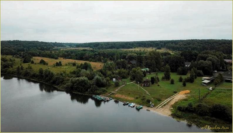 Отдых на реке Проня в Рязанской области — идеальное место для спокойного отдыха на природе